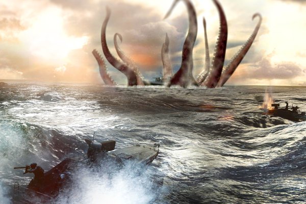 Как вывести деньги с kraken